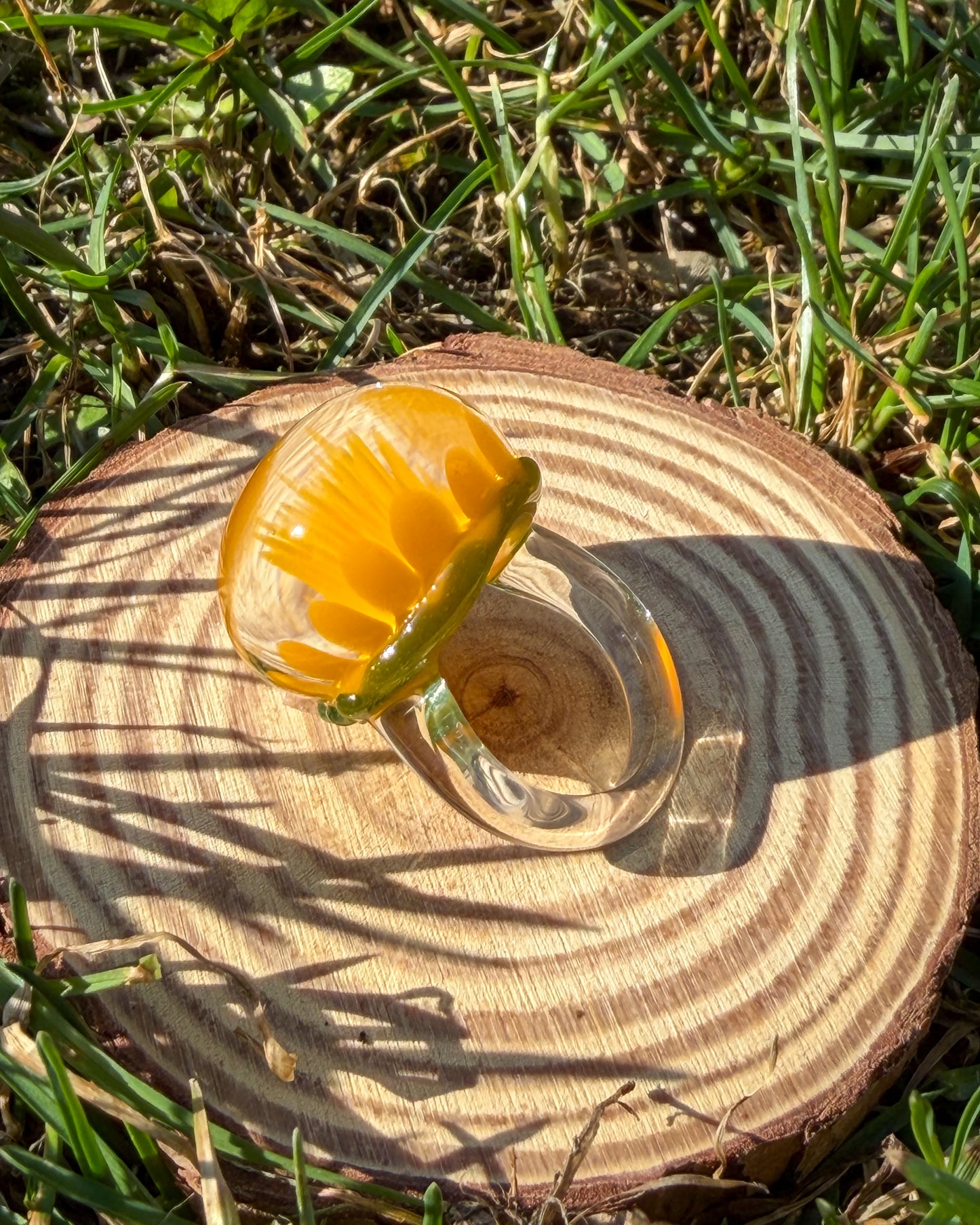 DANDELION IMPLOSION · Ring