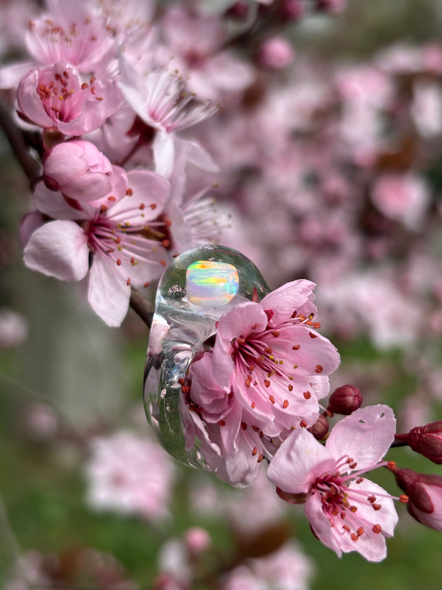 Opal Spherical Dome · Glasring