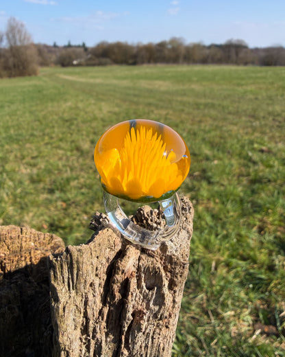 DANDELION IMPLOSION · Ring