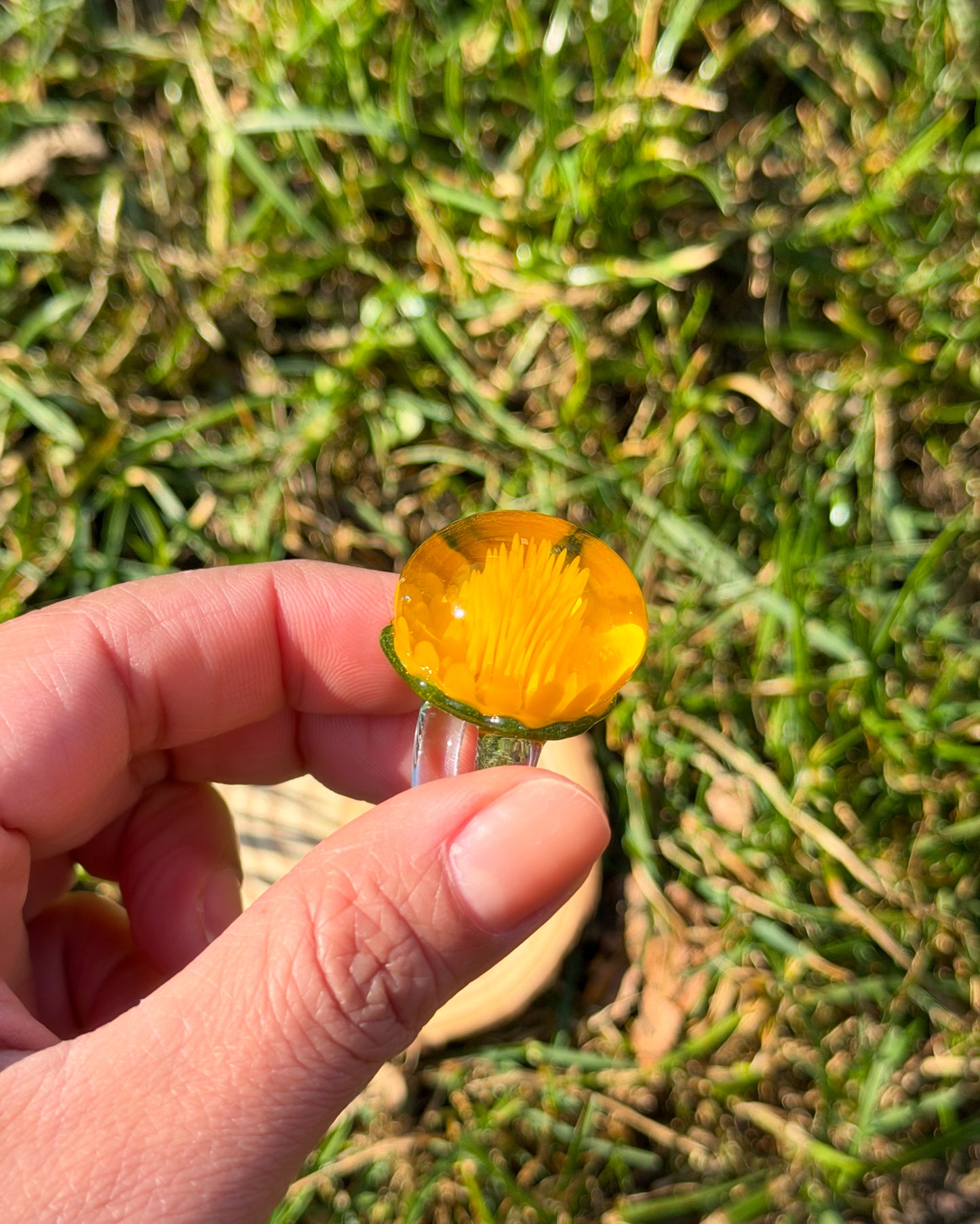 DANDELION IMPLOSION · Ring