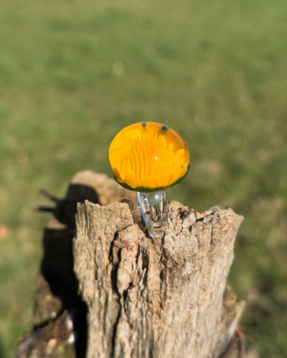 DANDELION IMPLOSION · Ring